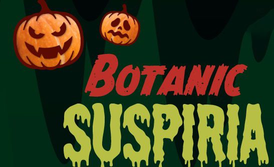 sitoORTOBannerSuspiria